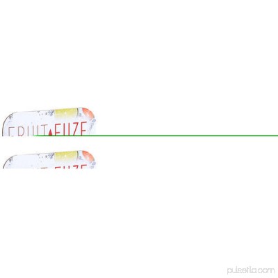 Fruit Fuze 26 oz Water Bottle with Fruit Filter 564260430